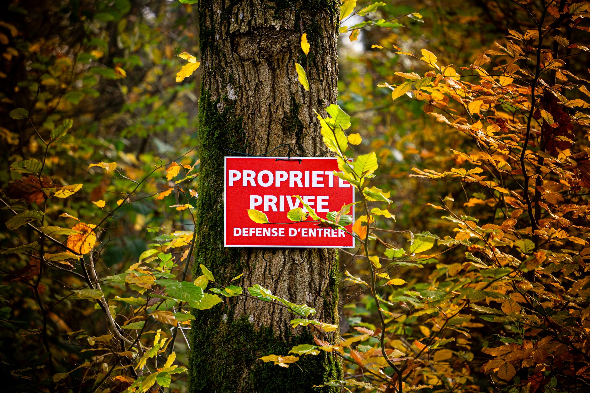Détective privé à Hyères